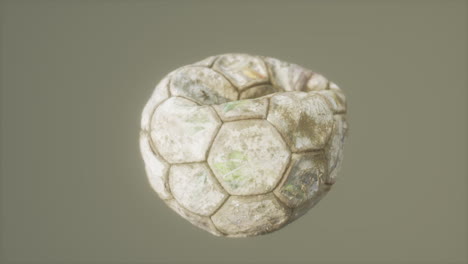 old-deflated-leather-soccer-ball